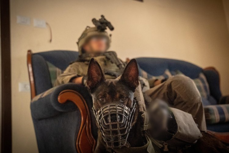 כוחות צה״ל ברצועת עזה (צילום: דובר צה"ל)