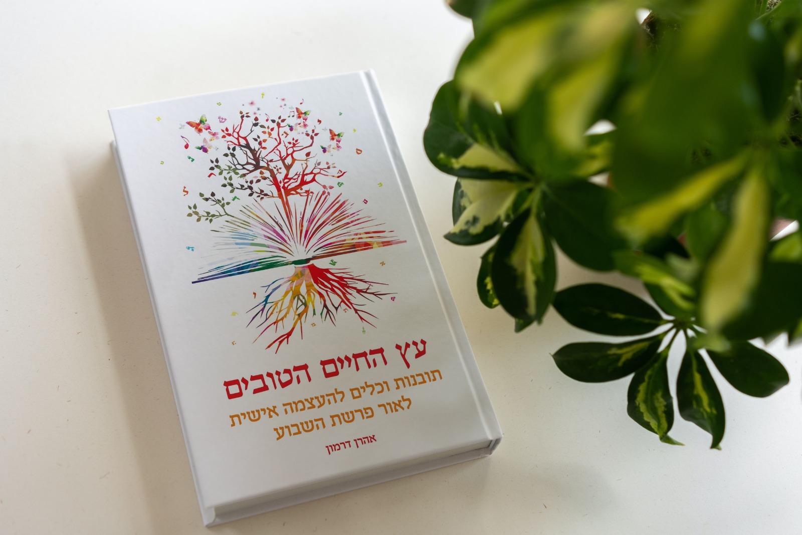 הספר שכתב