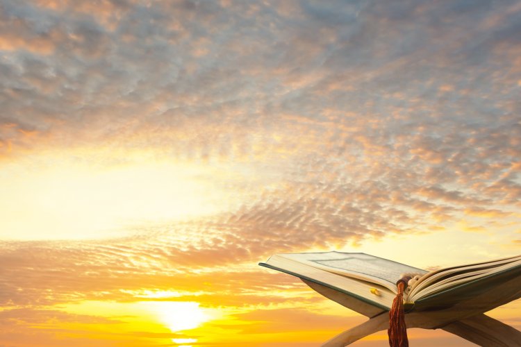 (צילום: shutterstock)