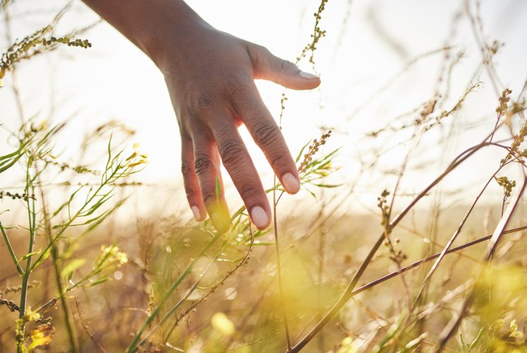 (צילום: shutterstock)