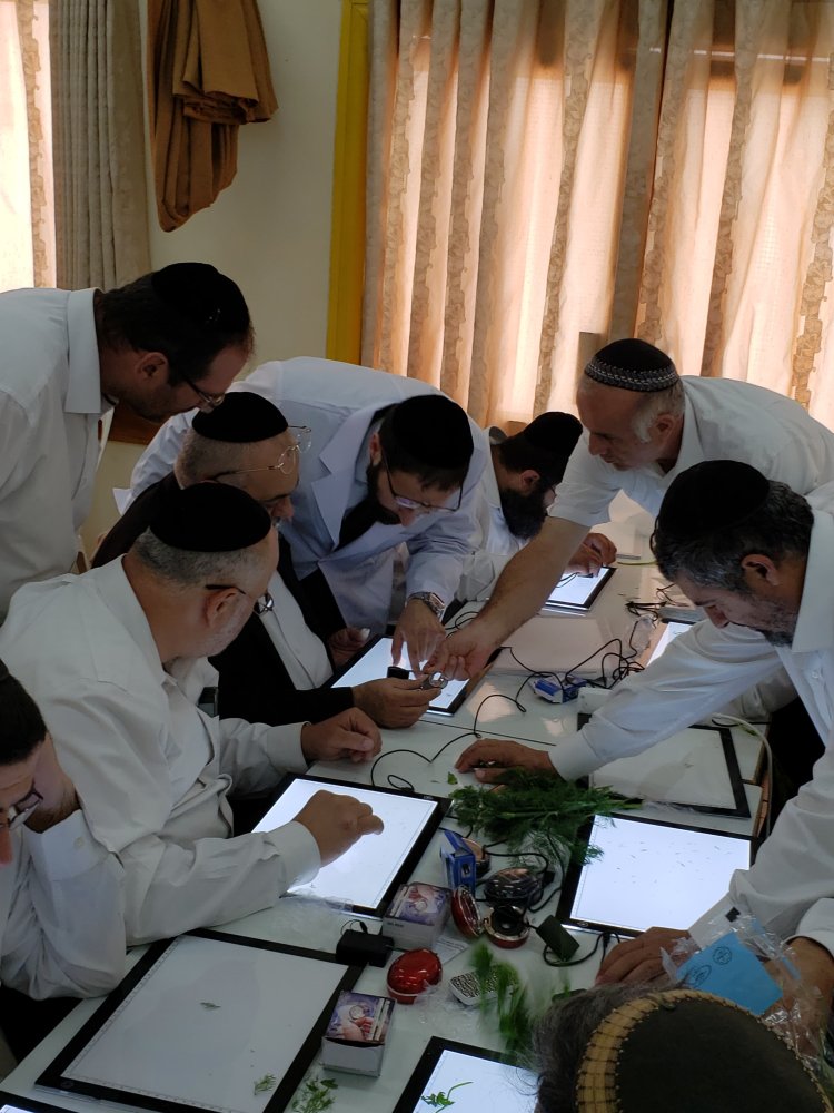 הדרכת בודקים במכון