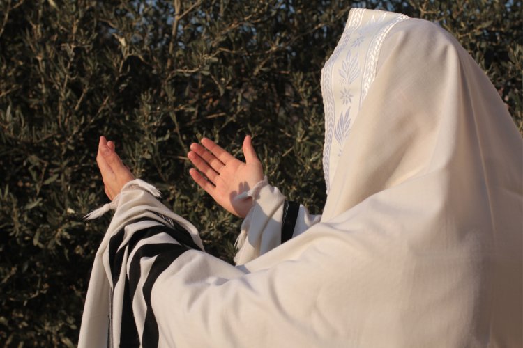 (צילום: shutterstock)