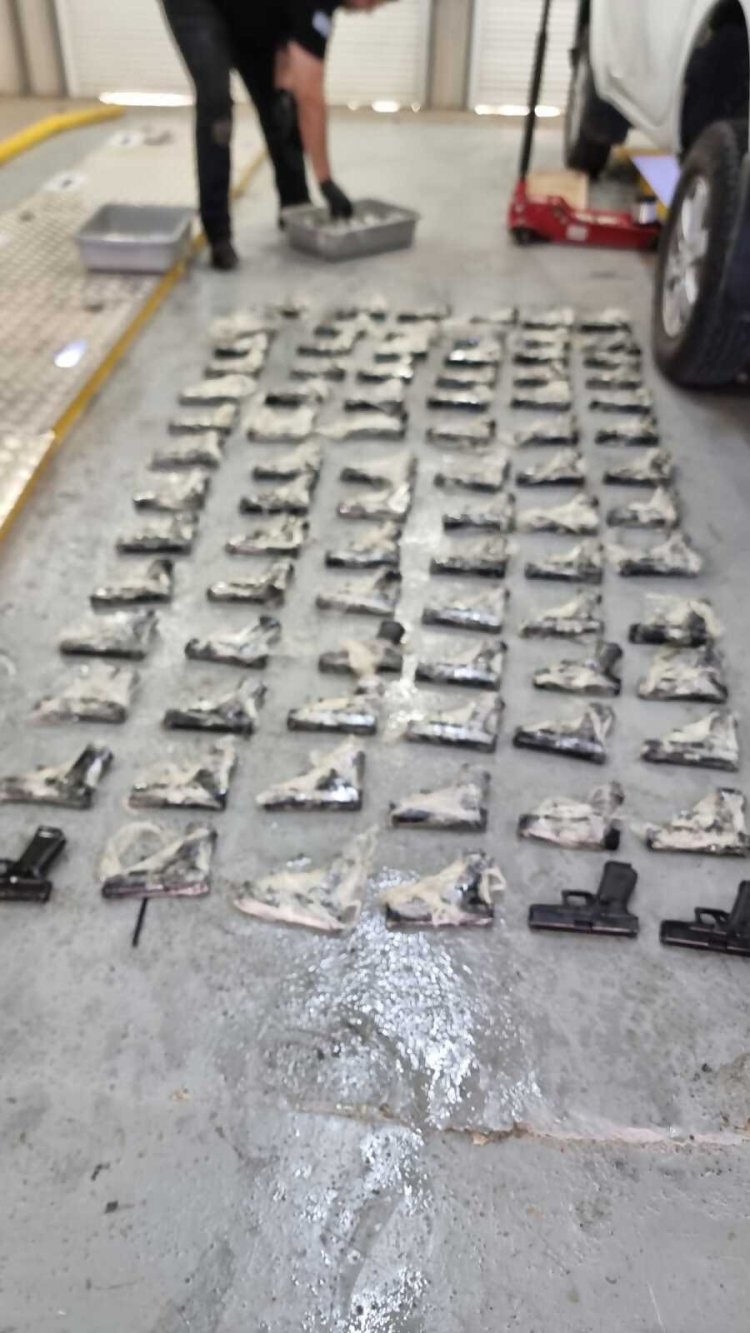 צילום: רשות המיסים