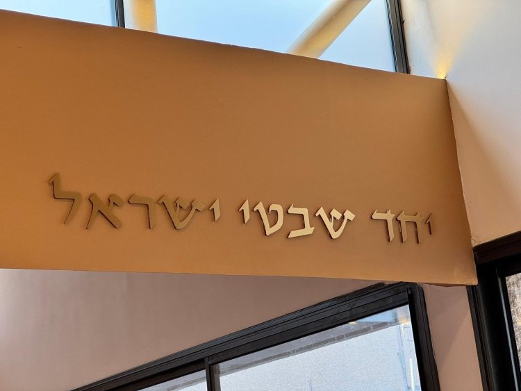 (צילום: דורון בוגדנובסקי וגד קולטון)
