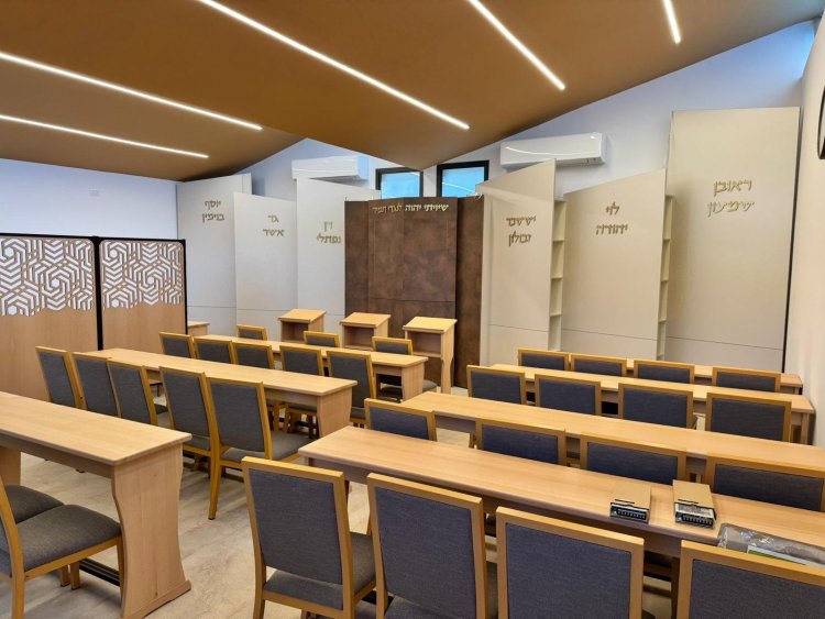 (צילום: דורון בוגדנובסקי וגד קולטון)