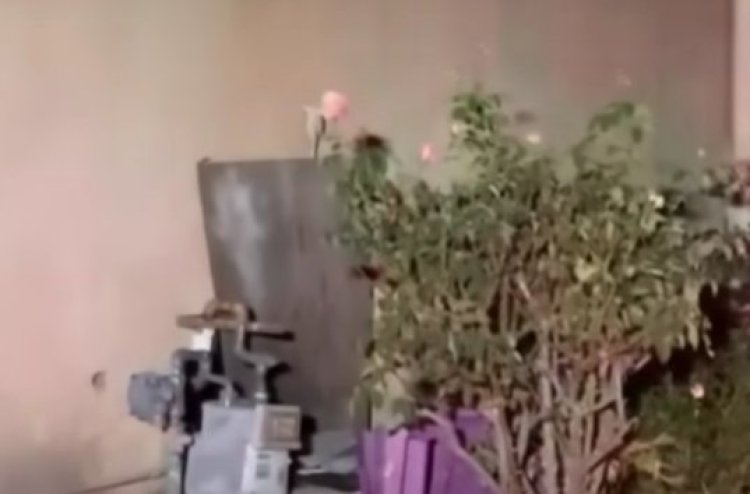 החלל שבו התגורר הצעיר