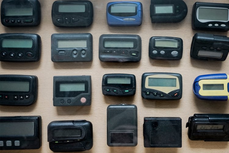 (צילום: shutterstock)