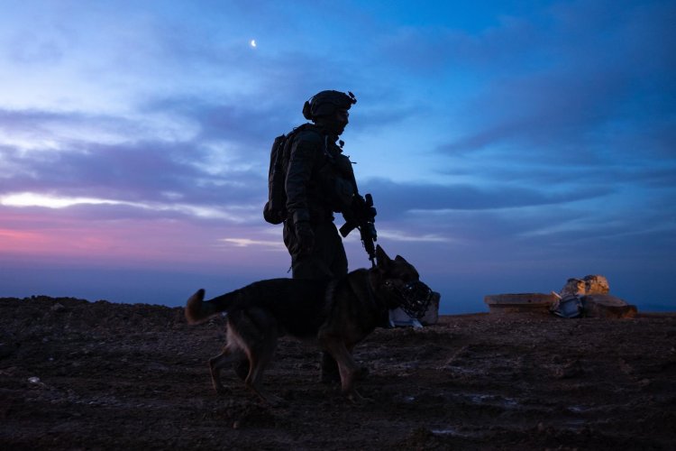 (צילום: דובר צה''ל)