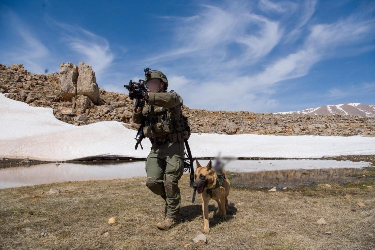 (צילום: דובר צה''ל)