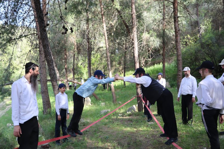 (צילום:יוחנן כץ, ישראל כהן, מאיר דרברמדיקר)