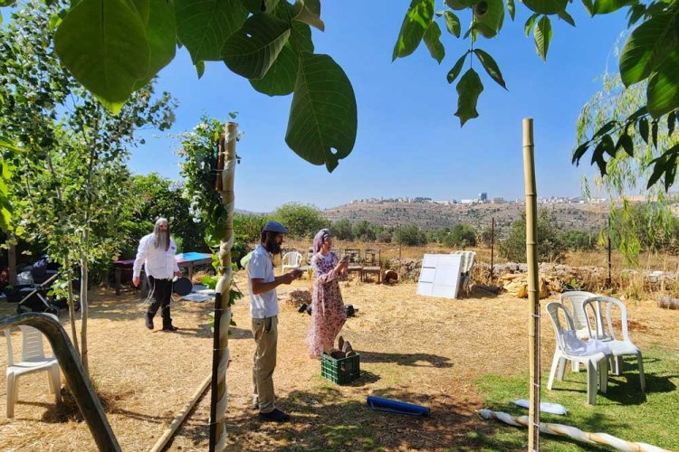 הקמת חופה