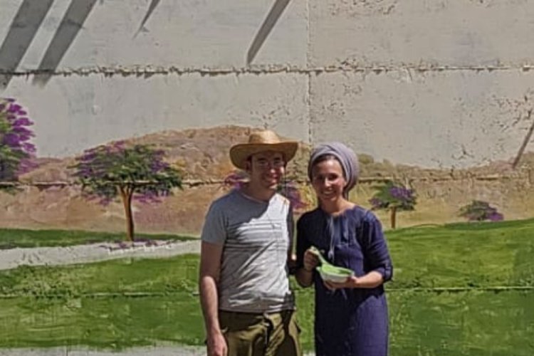 מציירים על גדרות הישוב בו הם מתגוררים