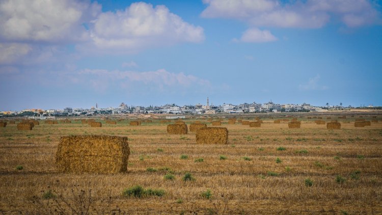 (אחרי קציר בניר עוז (צילם: שחר והב