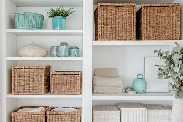 החיפושית מאחסנת הכל בקופסאות והבית נראה מסודר. גם אם בתוך הקופסאות יש בלאגן