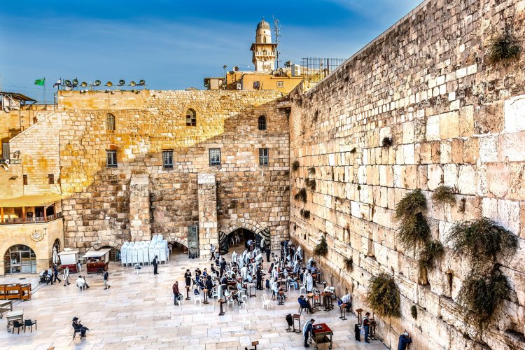 (צילום: שאטרסטוק)