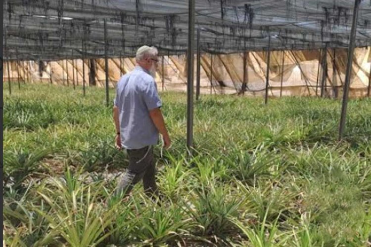 אסף ירחי בחממות של בני נצרים, הישוב שהקימו