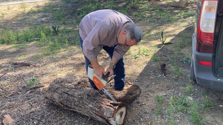 העצים שנהרסו בניר עוז שהפכו לעצי חיים