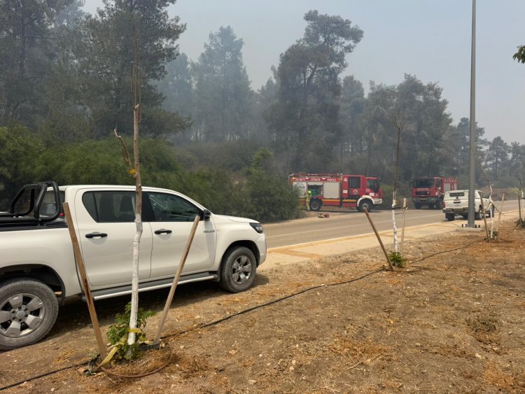 שרפה ביער אשתאול (צילום: עובדי ויערני קק״ל)