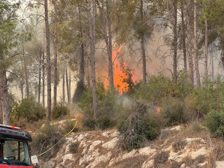 שרפה ביער אשתאול (צילום: עובדי ויערני קק״ל)