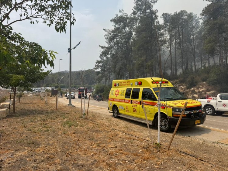 שרפה ביער אשתאול (צילום: עובדי ויערני קק״ל)