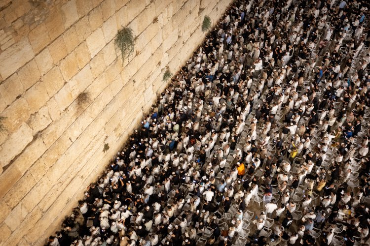 סליחות בכותל המערבי (צילום: חיים גולדברג, פלאש90)