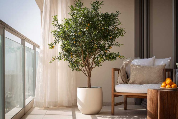 עץ במרפסת - מוקד עיצובי חזק