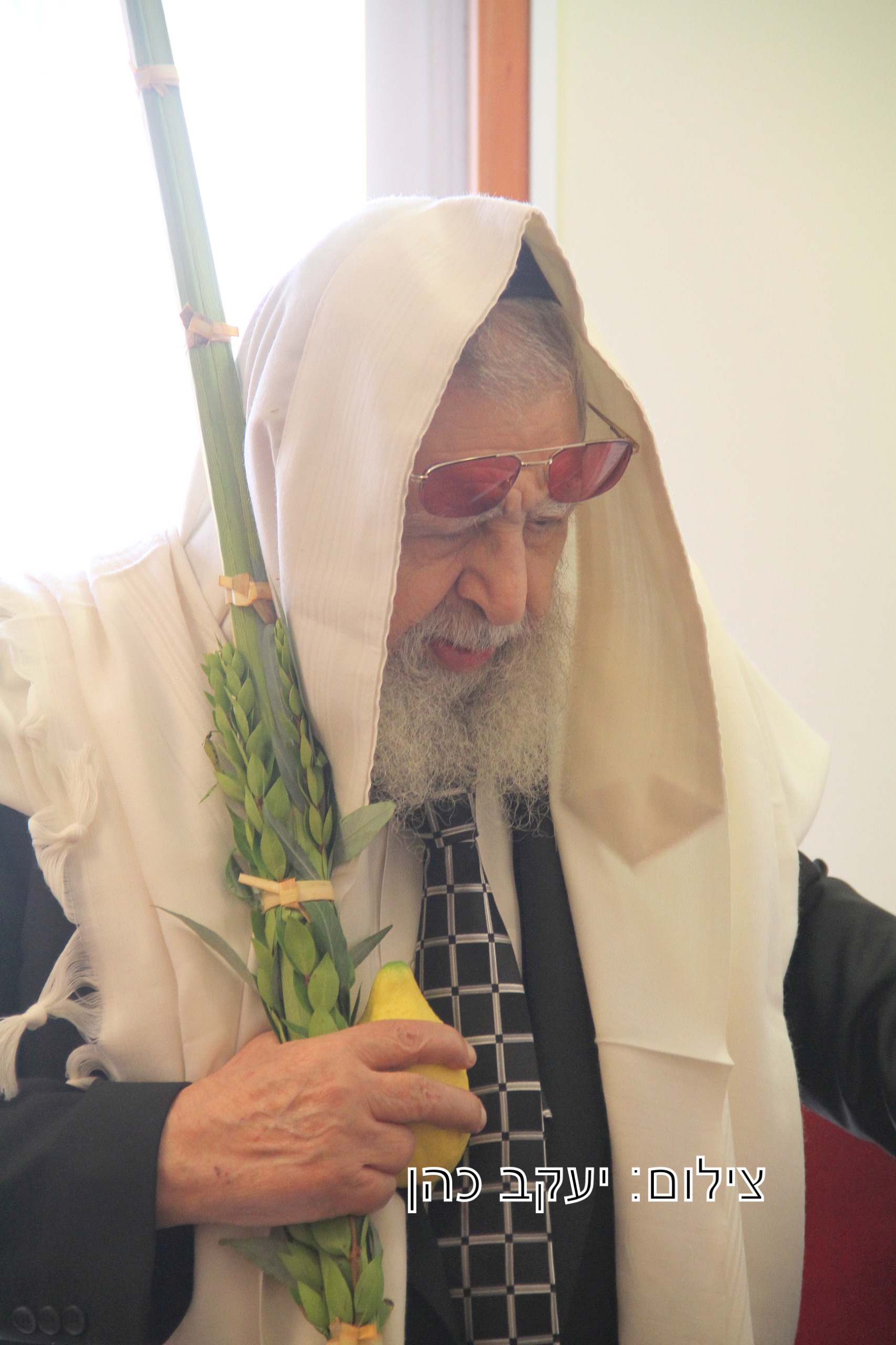(צילום: יעקב כהן)