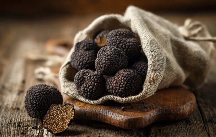 פטריות כמהין