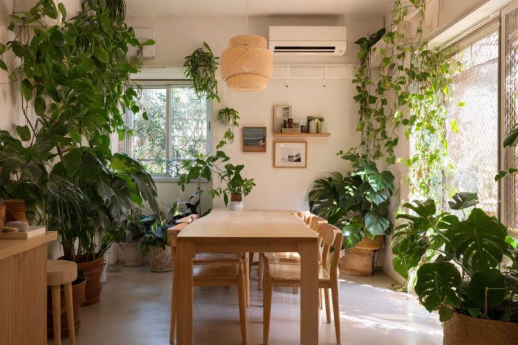 חודש שבט הוא תזכורת מצוינת להכניס את הטבע הביתה