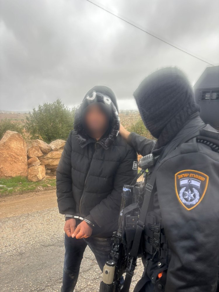 מעצר חשוד (צילום: דוברות המשטרה)