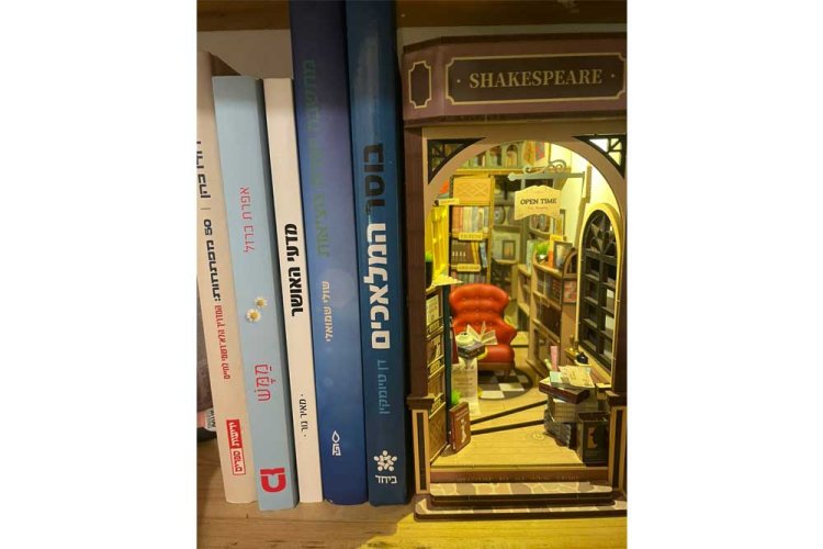 הדגם בנוי ומוכן בפינת הספרים שלי