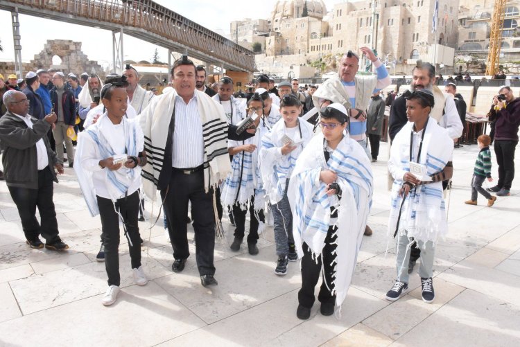 (צילום: משה פדידה)