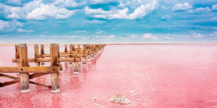 (צילום: Vera Larina/shutterstock)