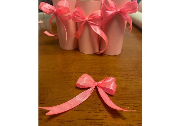 גלילי קרטון עטופים בריסטול וורוד, סרט סאטן וורוד ופפיונים וורודים קטנים