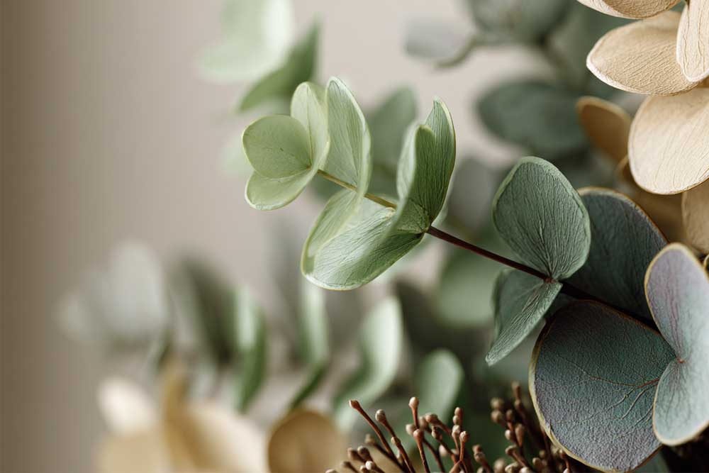 הטבע מהווה השראה לעיצוב הבית