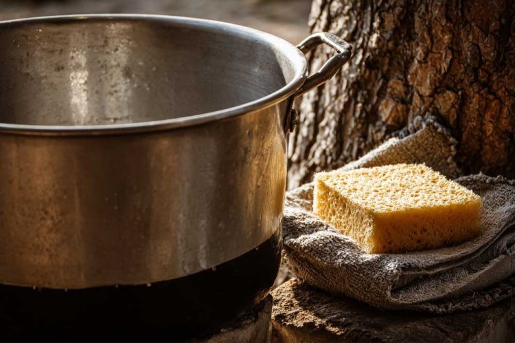 "Take a sponge and water without soap, sit under a tree and clean the bottom" (Illustration)