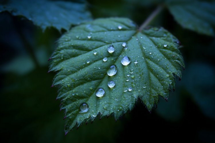 צאי לטיול בטבע