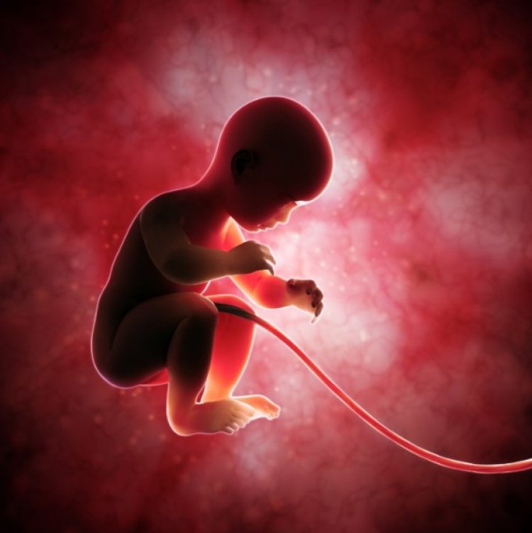 Illustration photo: Shutterstock