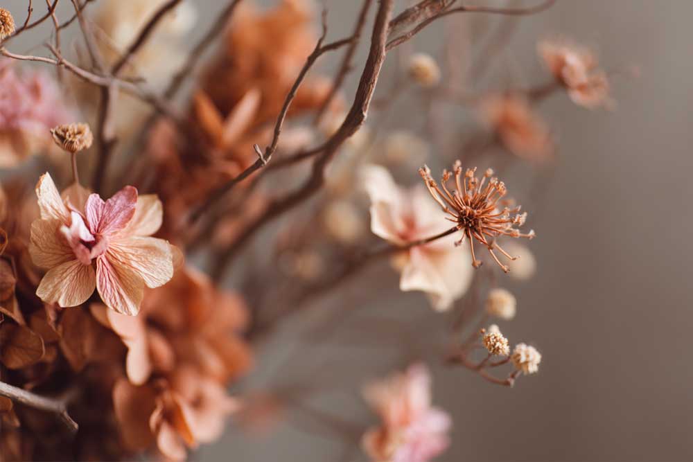 פרחי האביב הם חלק מפלטת הצבעים