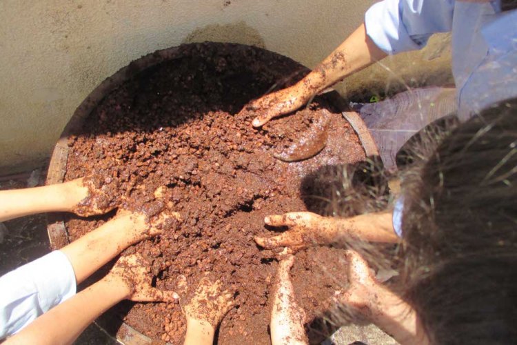 (קרדיט: עמותת לשומרה)