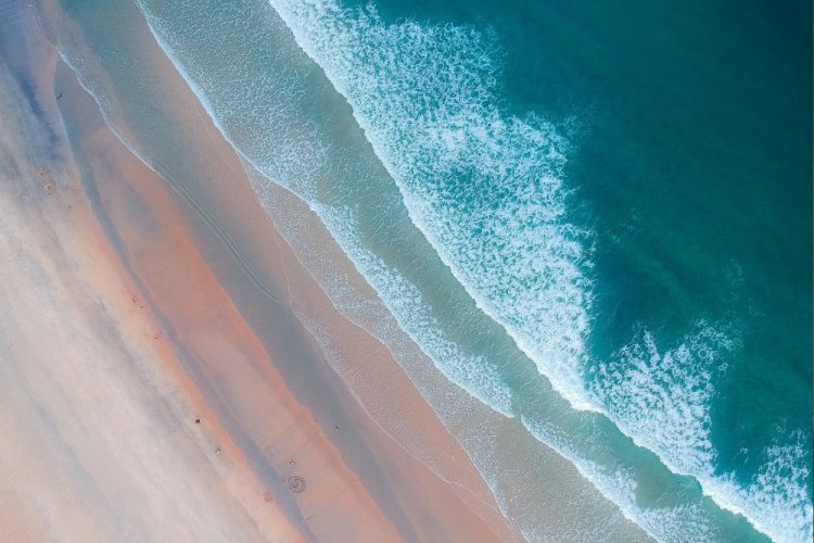 יש יופי באפרוריות של היומיום