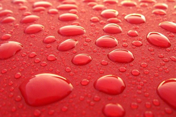 When things like water, Torah, and giving turn into blood – something fundamental in our society is damaged