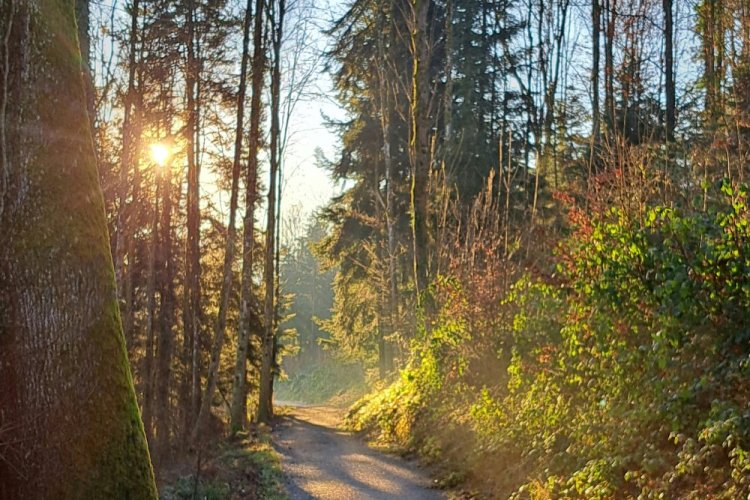 לנשום אוויר נקי ולהתחבר לאור השמש