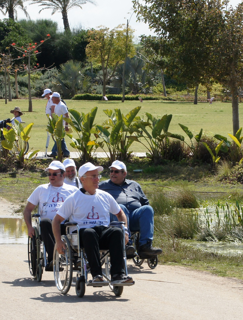 תיירים מחו"ל בטיול משותף