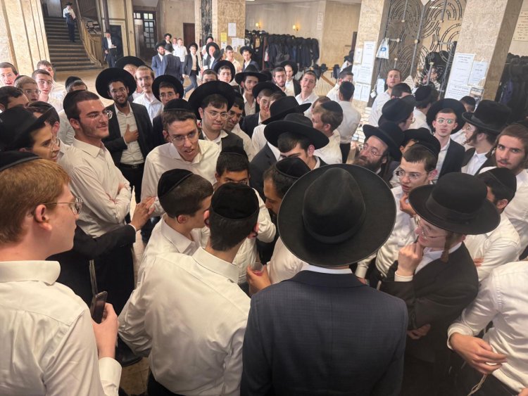 (צילום: איילת השחר)