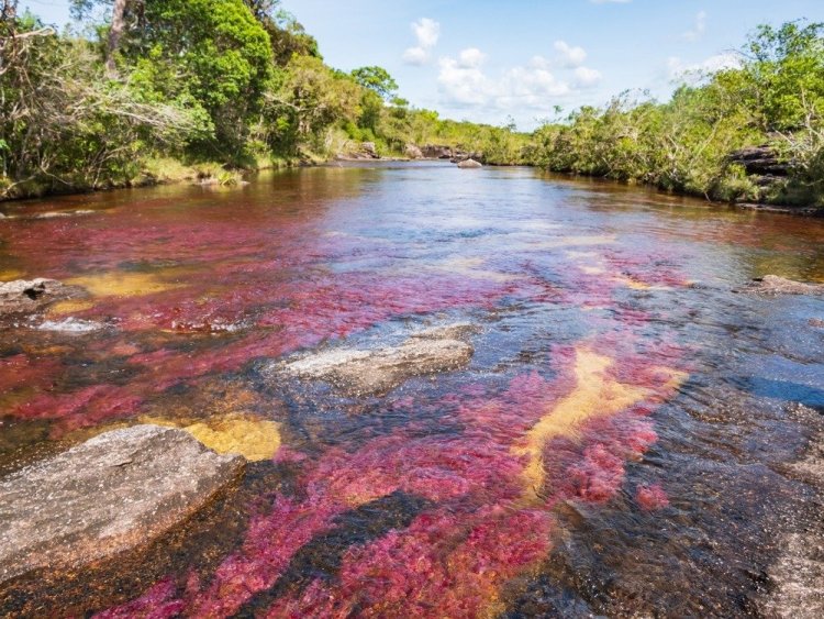 (צילום: shutterstock)