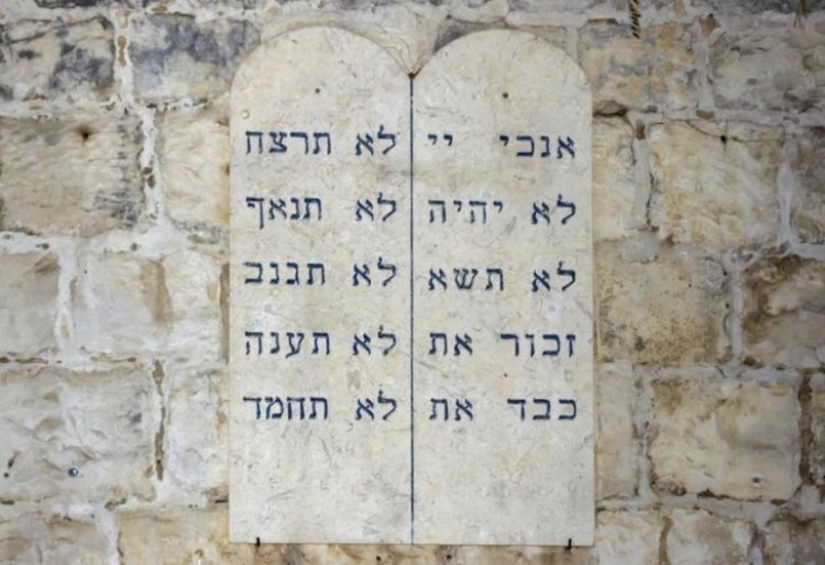 (צילום: shutterstock)