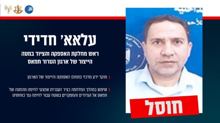 אינפוגרפיקה (קרדיט: דובר צה״ל)