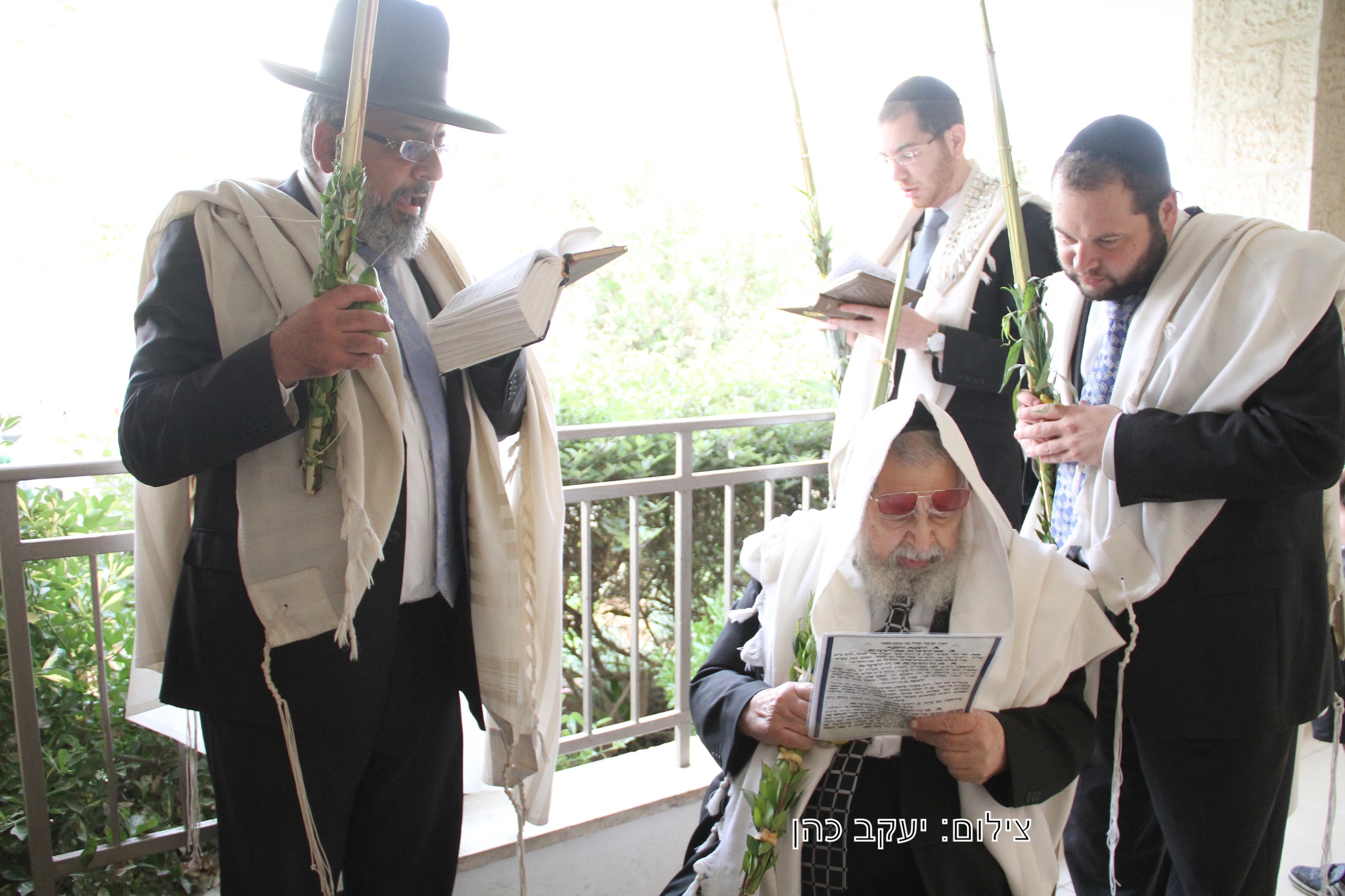(צילום: יעקב כהן)