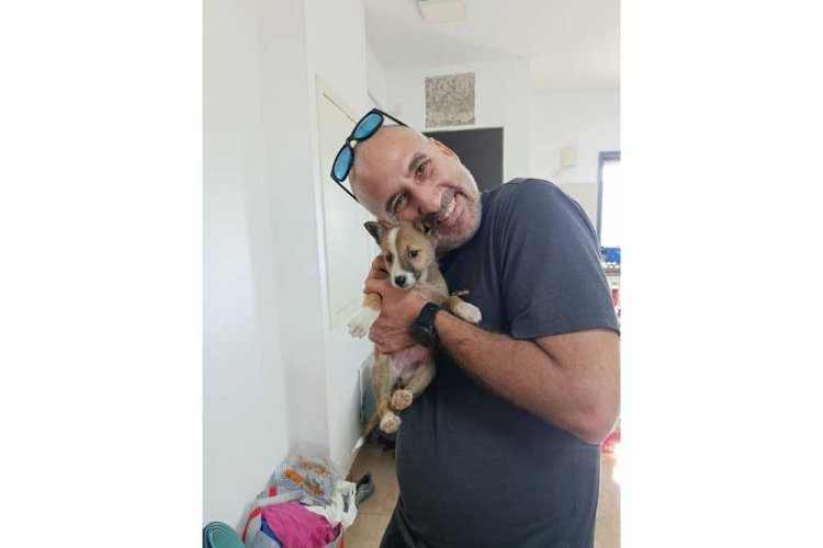 ד"ר אלי בכור